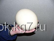 яйцо (220x165, 5Kb)