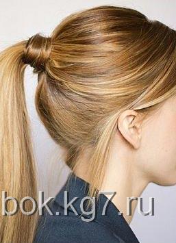 хвост хвост