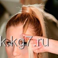 конский хвост конский хвост