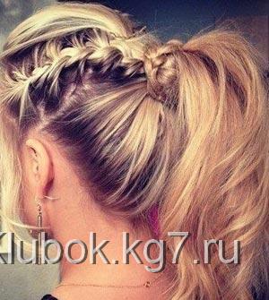 хвост хвост