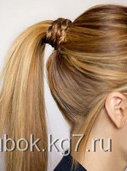 хвост хвост