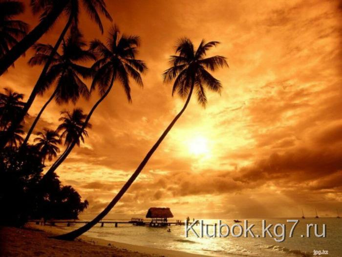 2523_4 (700x525, 116Kb)