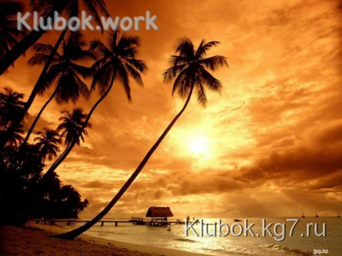 2523_4 (700x525, 116Kb)