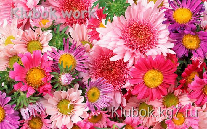 1239709480_flower_45 (700x437, 223Kb)