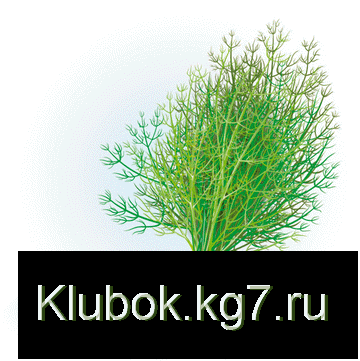 Укроп,семена