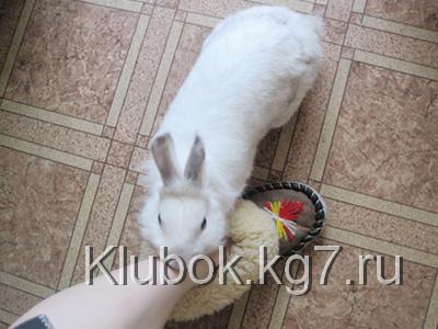 Духи-Афродизиак... своими руками :)