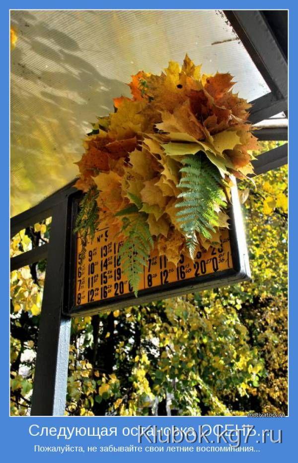 Мотиваторы (49 фото)