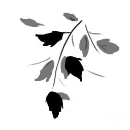 Drawing beautiful trees in just a few minutes