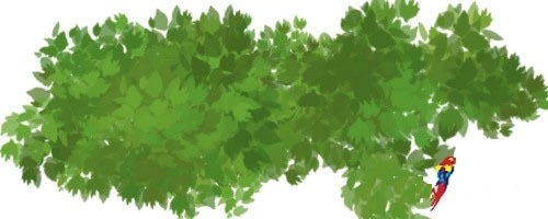 Рисуем красивые деревья за несколько минут Рисуем красивые деревья за несколько минут