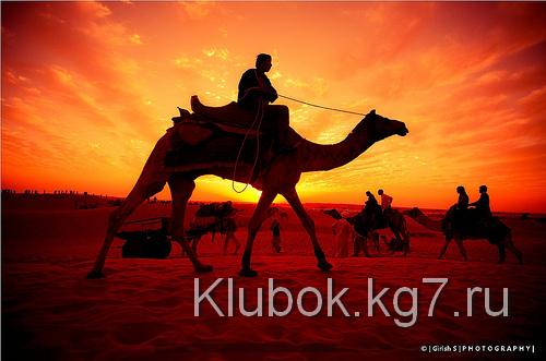 Золотой час. Подходящий свет для фото съемки Золотой час. Подходящий свет для фото съемки