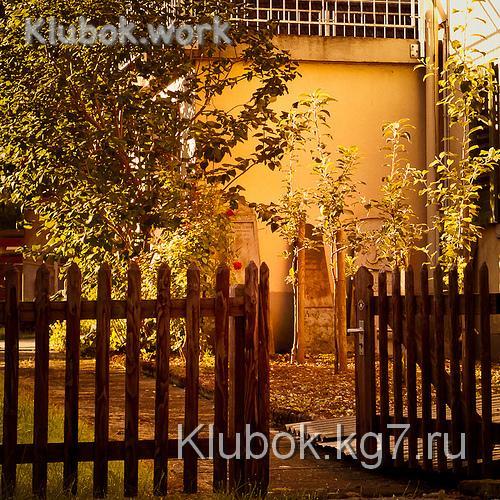 Золотой час. Подходящий свет для фото съемки