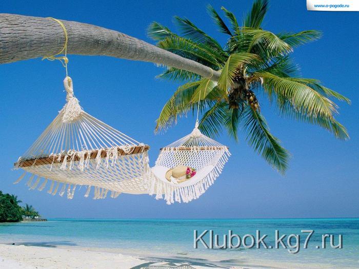 6402_3 (700x525, 62Kb)