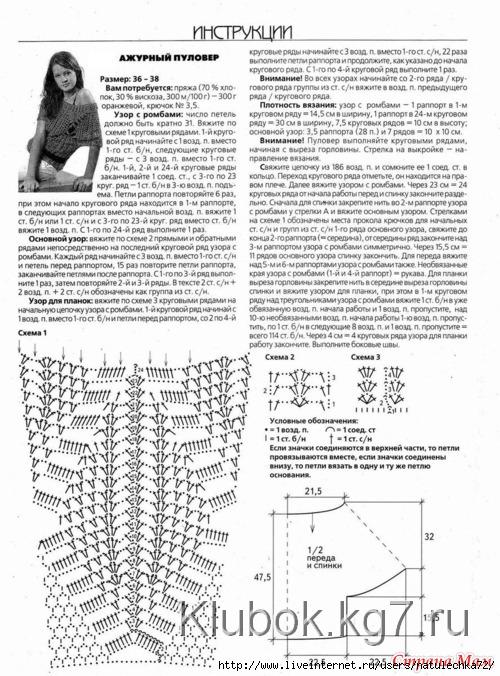 1338224359_4698668_32832nothumb500 (500x676, 271Kb)