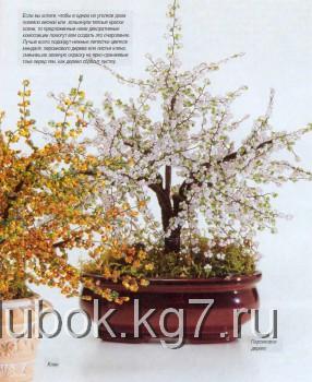 Бонсай из бисера Бонсай