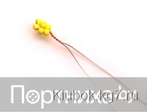 P3070048.jpg P3070048.jpg