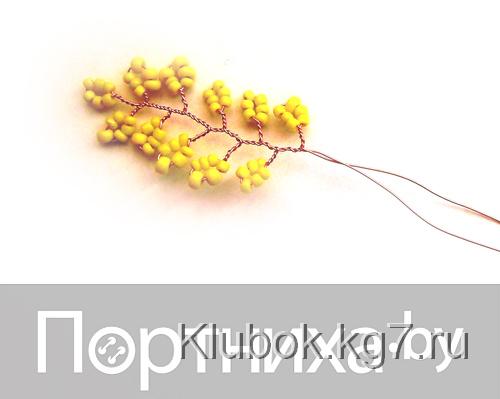 P3070049.jpg P3070049.jpg