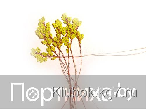 P3070059.jpg P3070059.jpg