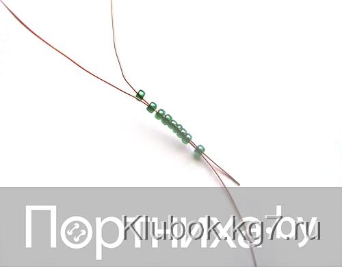 P3070061.jpg P3070061.jpg