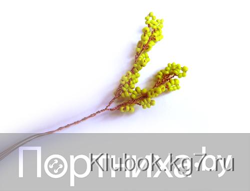 P3130083.jpg P3130083.jpg