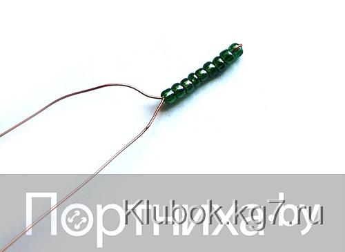 P3070064.jpg P3070064.jpg