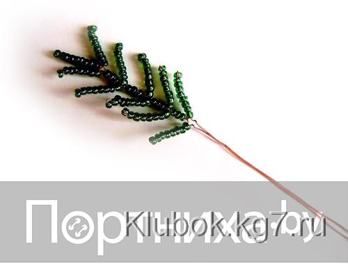 P3130070.jpg P3130070.jpg