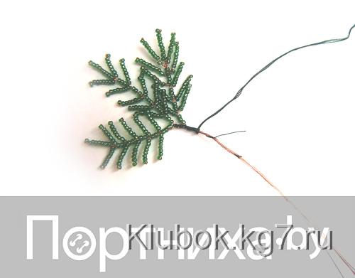 P3130087.jpg P3130087.jpg