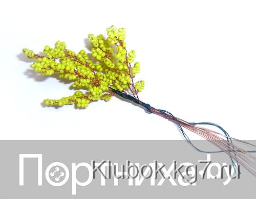 P3130090.jpg P3130090.jpg