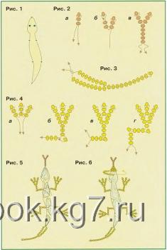 схема плетения ящерицы из бисера схема разноцветных ящериц из бисера