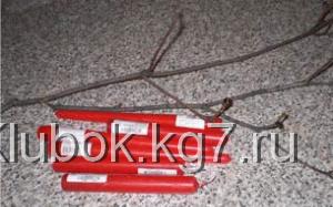 Нам понадобятся сухие ветки и красные свечи