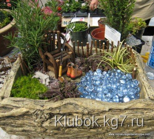 Миниатюрный сад – украшение для дома, веранды или балкона