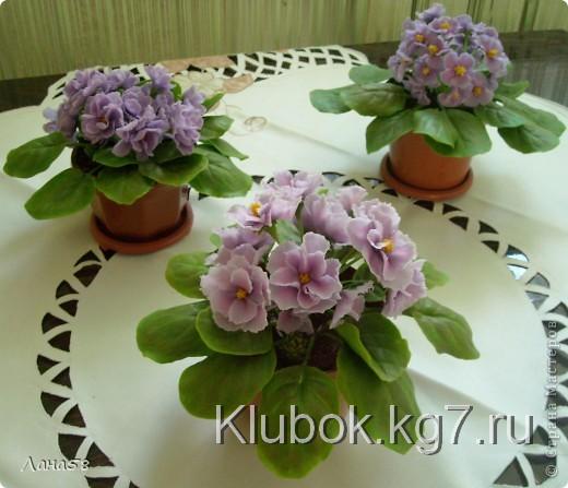  Мастер-класс Лепка: фиалки  мини МК Фарфор холодный Дебют. Фото 1