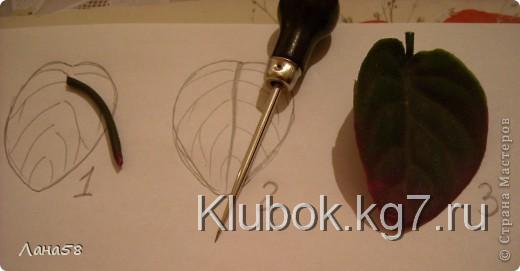  Мастер-класс Лепка: фиалки  мини МК Фарфор холодный Дебют. Фото 15