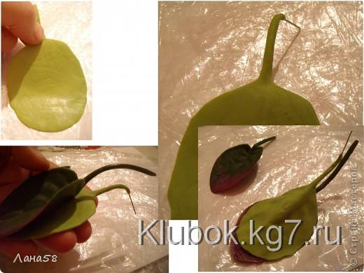  Мастер-класс Лепка: фиалки  мини МК Фарфор холодный Дебют. Фото 14