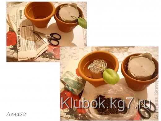  Мастер-класс Лепка: фиалки  мини МК Фарфор холодный Дебют. Фото 20