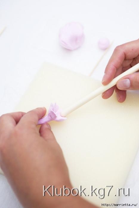 421 (466x700, 128Kb)