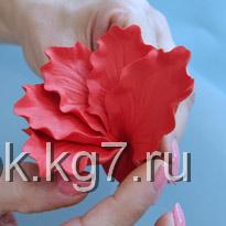 00056434 (205x205, 12Kb)