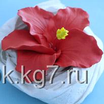 00056438 (205x205, 13Kb)