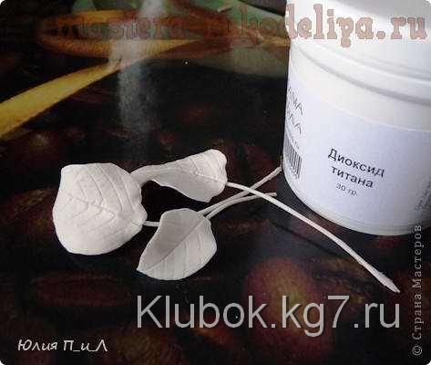 Способы окрашивания холодного фарфора