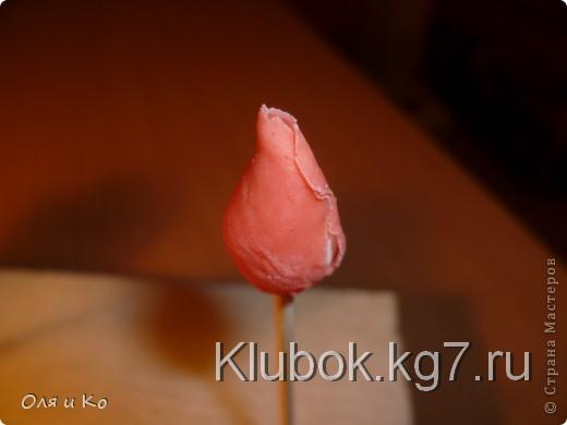 Мастер-класс, Лепка, : Лепим соленую розу. Продолжение Тесто соленое 8 марта, . Фото 9 Мастер-класс, Лепка, : Лепим соленую розу. Продолжение Тесто соленое 8 марта, . Фото 9