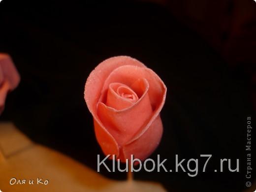 Мастер-класс, Лепка, : Лепим соленую розу. Продолжение Тесто соленое 8 марта, . Фото 15 Мастер-класс, Лепка, : Лепим соленую розу. Продолжение Тесто соленое 8 марта, . Фото 15