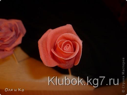 Мастер-класс, Лепка, : Лепим соленую розу. Продолжение Тесто соленое 8 марта, . Фото 19 Мастер-класс, Лепка, : Лепим соленую розу. Продолжение Тесто соленое 8 марта, . Фото 19