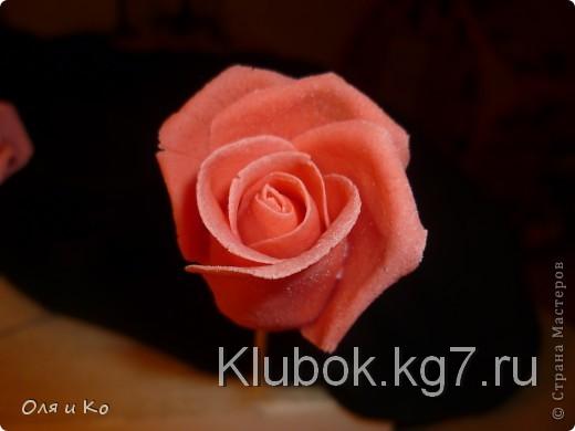 Мастер-класс, Лепка, : Лепим соленую розу. Продолжение Тесто соленое 8 марта, . Фото 20 Мастер-класс, Лепка, : Лепим соленую розу. Продолжение Тесто соленое 8 марта, . Фото 20