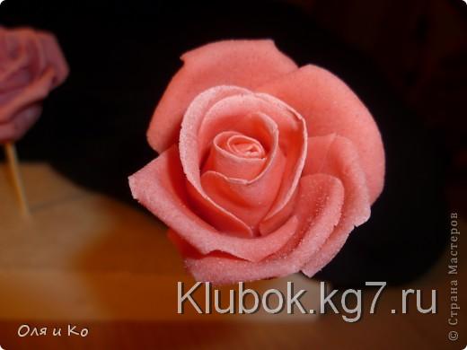 Мастер-класс, Лепка, : Лепим соленую розу. Продолжение Тесто соленое 8 марта, . Фото 22 Мастер-класс, Лепка, : Лепим соленую розу. Продолжение Тесто соленое 8 марта, . Фото 22