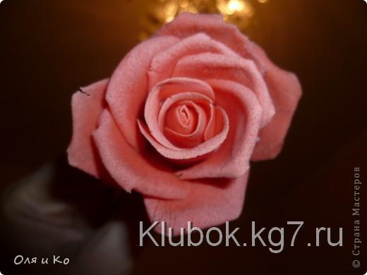 Мастер-класс,  Лепка, : Лепим соленую розу. Продолжение Тесто соленое 8 марта, . Фото 30