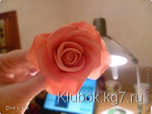 Мастер-класс, Лепка, : Лепим соленую розу. Продолжение Тесто соленое 8 марта, . Фото 32 Мастер-класс, Лепка, : Лепим соленую розу. Продолжение Тесто соленое 8 марта, . Фото 32