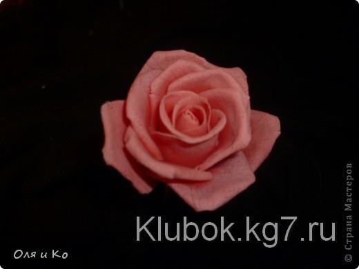 Мастер-класс,  Лепка, : Лепим соленую розу. Продолжение Тесто соленое 8 марта, . Фото 33