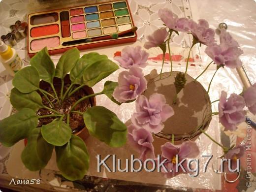 Мастер-класс Лепка: фиалки  мини МК Фарфор холодный Дебют. Фото 19  Мастер-класс Лепка: фиалки  мини МК Фарфор холодный Дебют. Фото 19