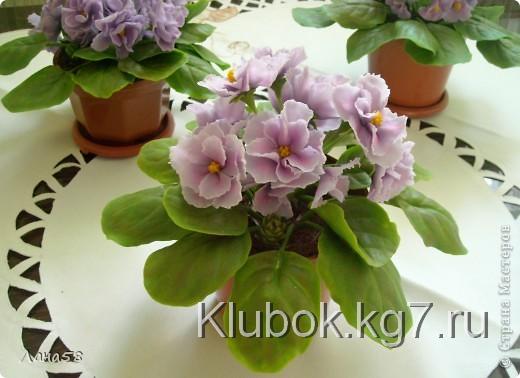 Мастер-класс Лепка: фиалки  мини МК Фарфор холодный Дебют. Фото 21  Мастер-класс Лепка: фиалки  мини МК Фарфор холодный Дебют. Фото 21