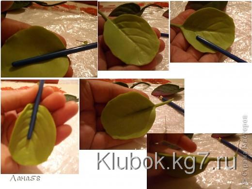 Мастер-класс Лепка: фиалки  мини МК Фарфор холодный Дебют. Фото 16  Мастер-класс Лепка: фиалки  мини МК Фарфор холодный Дебют. Фото 16