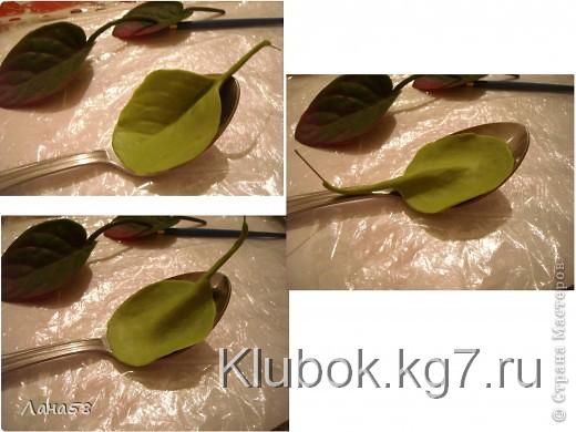 Мастер-класс Лепка: фиалки  мини МК Фарфор холодный Дебют. Фото 18  Мастер-класс Лепка: фиалки  мини МК Фарфор холодный Дебют. Фото 18